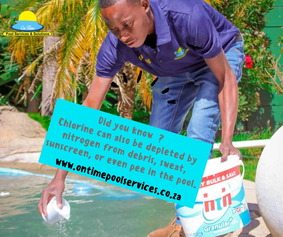 Pool Maintenance - Professional Chemical Treatment